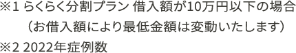 らくらく分割プラン 借入額が10万円以下の場合（お借入額により最低金額は変動いたします）