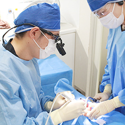 豊富な埋入本数・実績